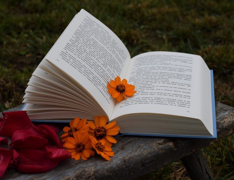 Как найти нужную книгу в интернете?
